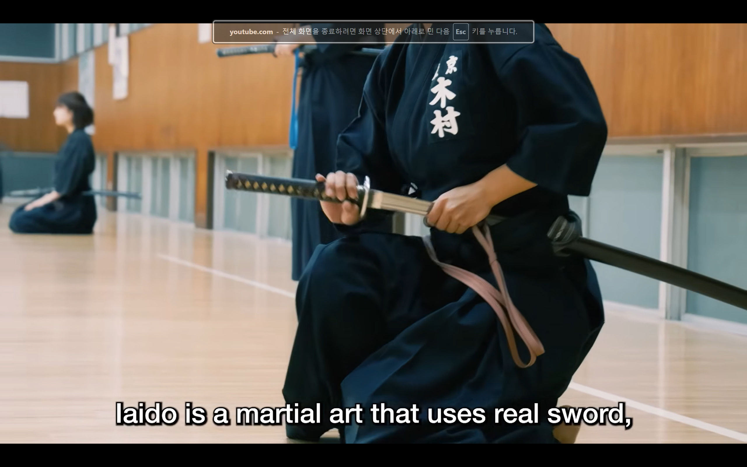 Iaido sword practice